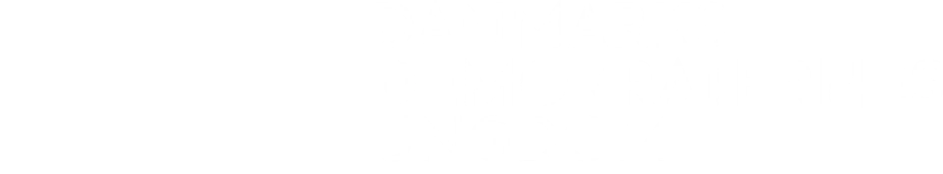 Danmarksdemokraternes Ungdom logo